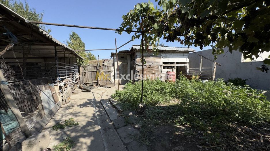 Casă 4 camere cu Teren 615 mp - Str. Mărășești Nr.62 – Carei - Poză 14