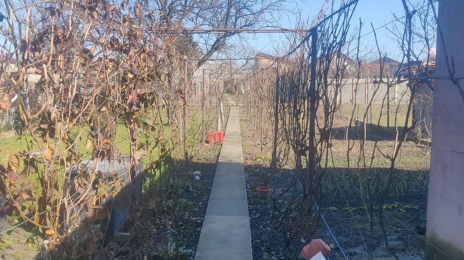 CASA CU TEREN 838 MP ZONA STEAUA - Poză 19