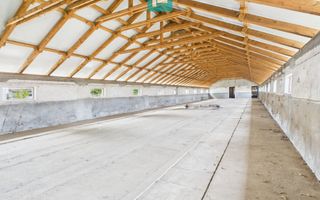 Hală pentru producție / fermă zootehnică  - Variaș - Poză 3