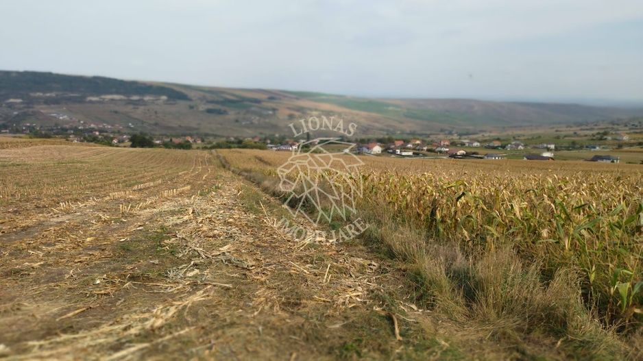 3 Parcele in Zona Fanate-oportunitate unica de investitie-Cluj-Napoca - Poză 3