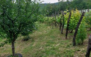 Casă de vânzare, 2 camere, Hilița, Costuleni - Poză 6