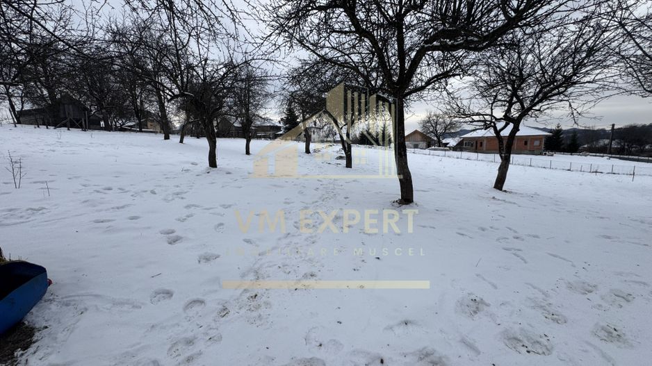 CASĂ 4 CAMERE TEREN 3038 MP ALBEȘTII  DE MUSCEL - Poză 38