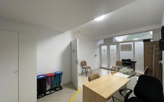 Spatiu bussines de 490mp intr-o vila pe 4 niveluri - Timisoara - Poză 4