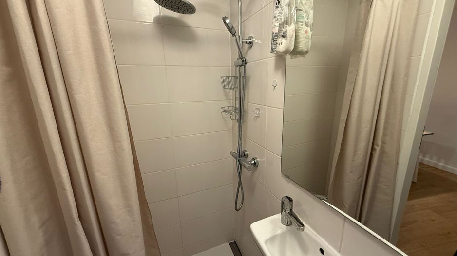 Apartament 2 camere superb de inchiriat in vila, Pet Friendly Iancului - Poză 4