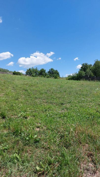 Vanzare teren 1350 mp, Stefanesti Sat - Poză 3