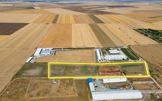 Cogealac - Tariverde – Ferma cu teren intravilan, utilitati racordate! - Poză 5