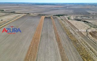 Teren agricol, 5HA, comasat, drum acces, Cateasca - Poză 2