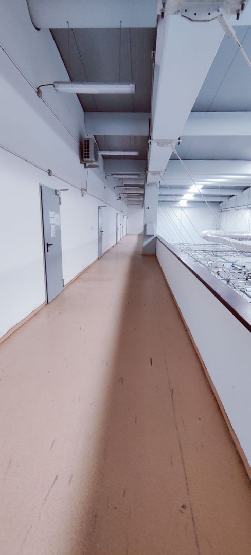 Hala productie /depozitare -zona C.  Sagului - Poză 5