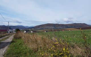 Teren intravilan 10.000 mp Gârcina lângă Sala Polivalenta Piatra Neamț - Poză 4