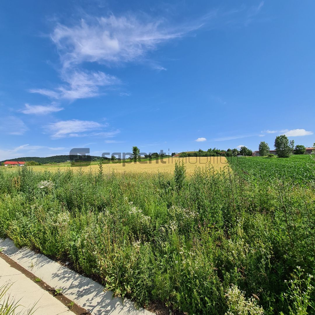 Teren intravilan in Hidiselu de Sus - cu front la E79 - Poză 3