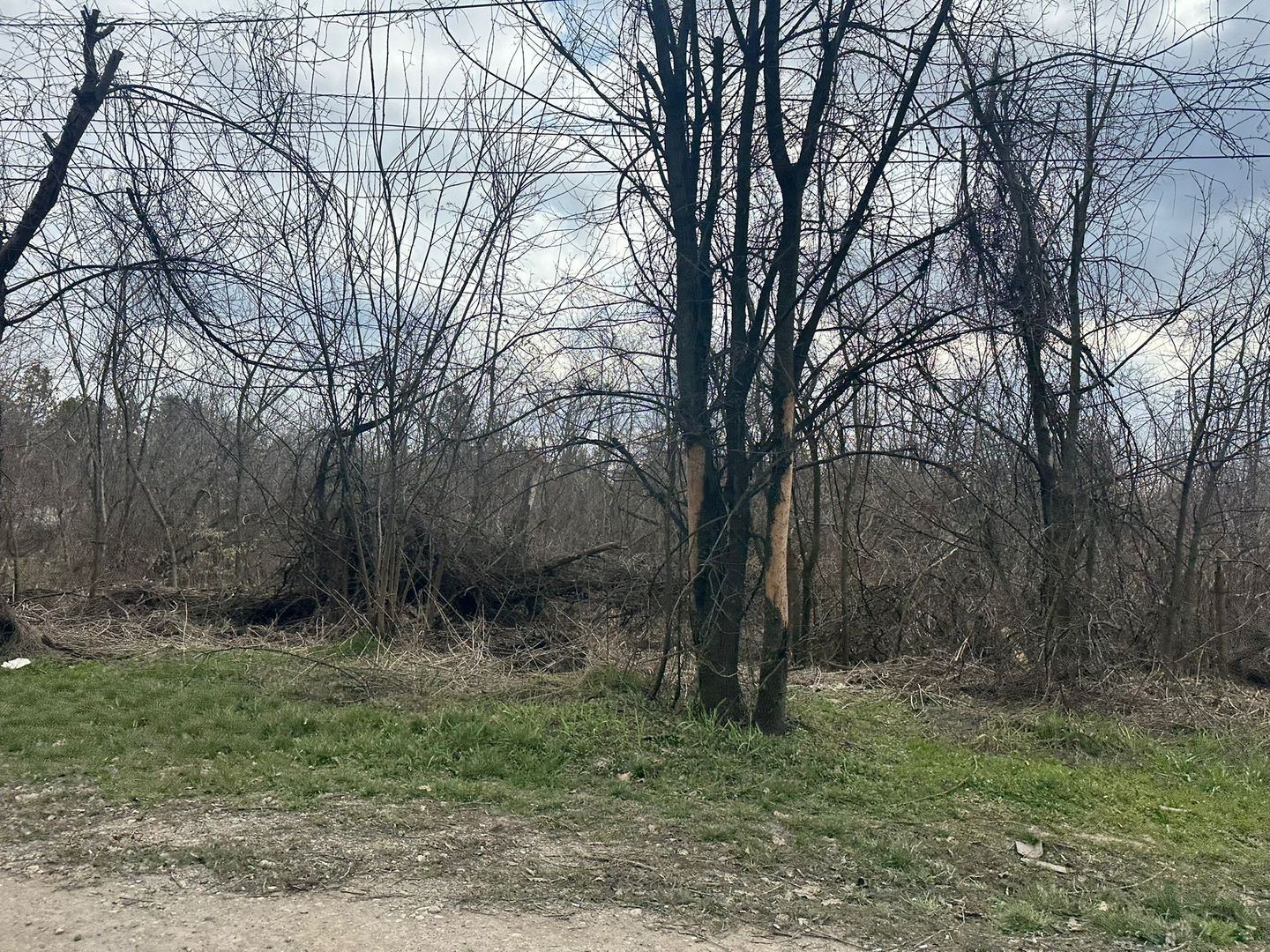 Teren intravilan cu PUZ aprobat 33.683 mp – Săftica/Balotești – deschidere DN1 - Poză 8