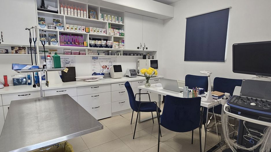 OCAZIE Spatiu Comercial Herastrau/Aviatiei - Poză 10