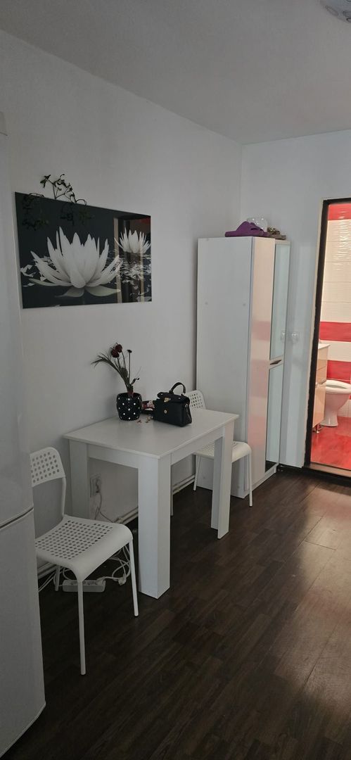 2 camere langa metrou Nicolae Grigorescu, renovat, acces separat - Poză 7