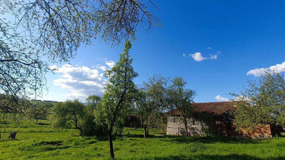 Descoperă căsuța ta de vis la poalele Munților Apuseni - Poză 24