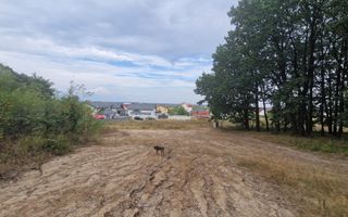 AZURA Imobiliare - Vanzare teren Hintesti, langa padure, 300m din DN - Poză 9