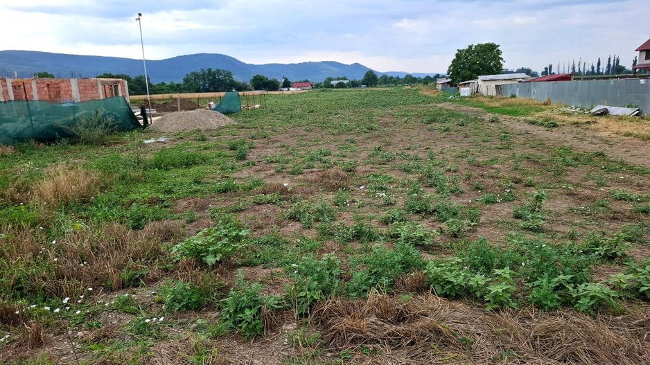 Terenuri intravilane de vânzare în Radomirești – Letea Veche, județul - Poză 8