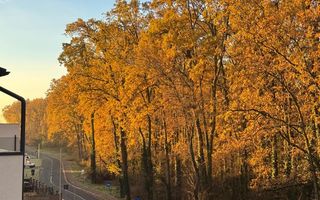 Apartament cu 2 camere - vedere la pădure| Ghiroda - Poză 9