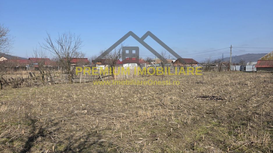 Casă bătrânească de vânzare – sat Prajoaia - Poză 8