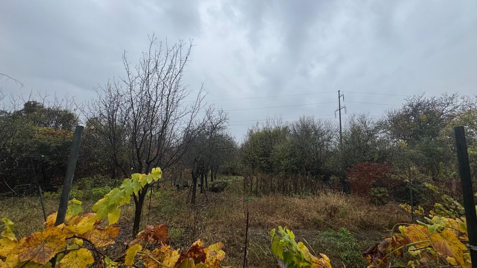 COMISION 0% | 2 Case Individuale | Zona Freidorf | 5 Camere | - Poză 22