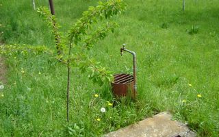 Teren de vanzare in Cornu 1183 mp - Poză 4