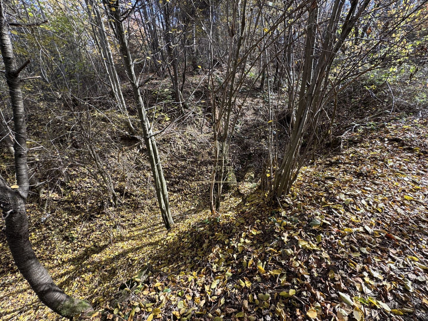 TEREN INTRAVILAN 13167 MP BUGHEA DE SUS ARGES - Poză 26