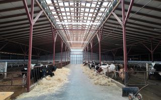 Vânzare, spațiu industrial, Raionul Glodeni, Satul Hîjdieni - Poză 1