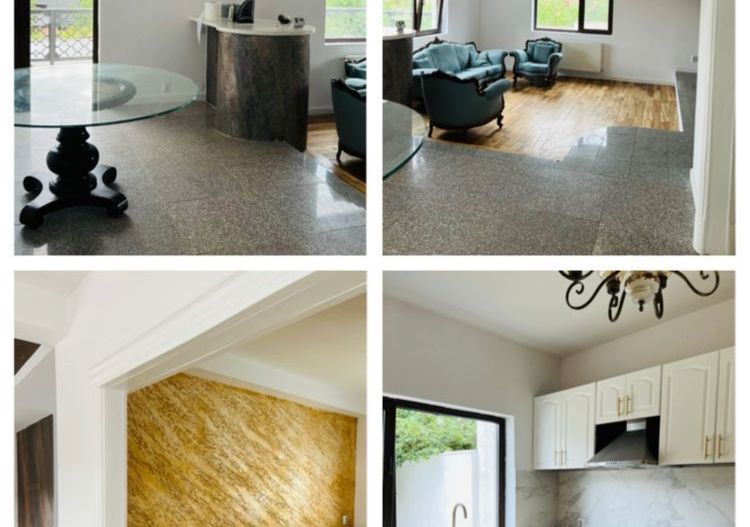 Vila Plopii fara sot, Bucium - Proprietar - Poză 5