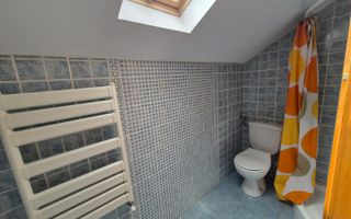 Inchiriere vila 5 dormitoare S + P + 1E + M zona Erou Iancu Nicolae - Poză 24