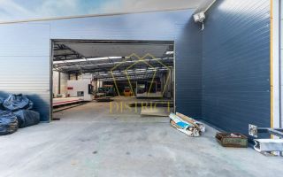 Hala industriala de 4.100mp | Giarmata - Poză 8