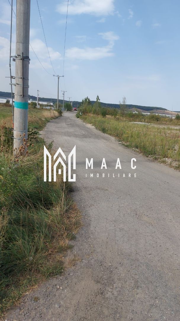 Teren | 10,000 MP | Extravilan | Posibilitate de parcelare | Cristian - Poză 3