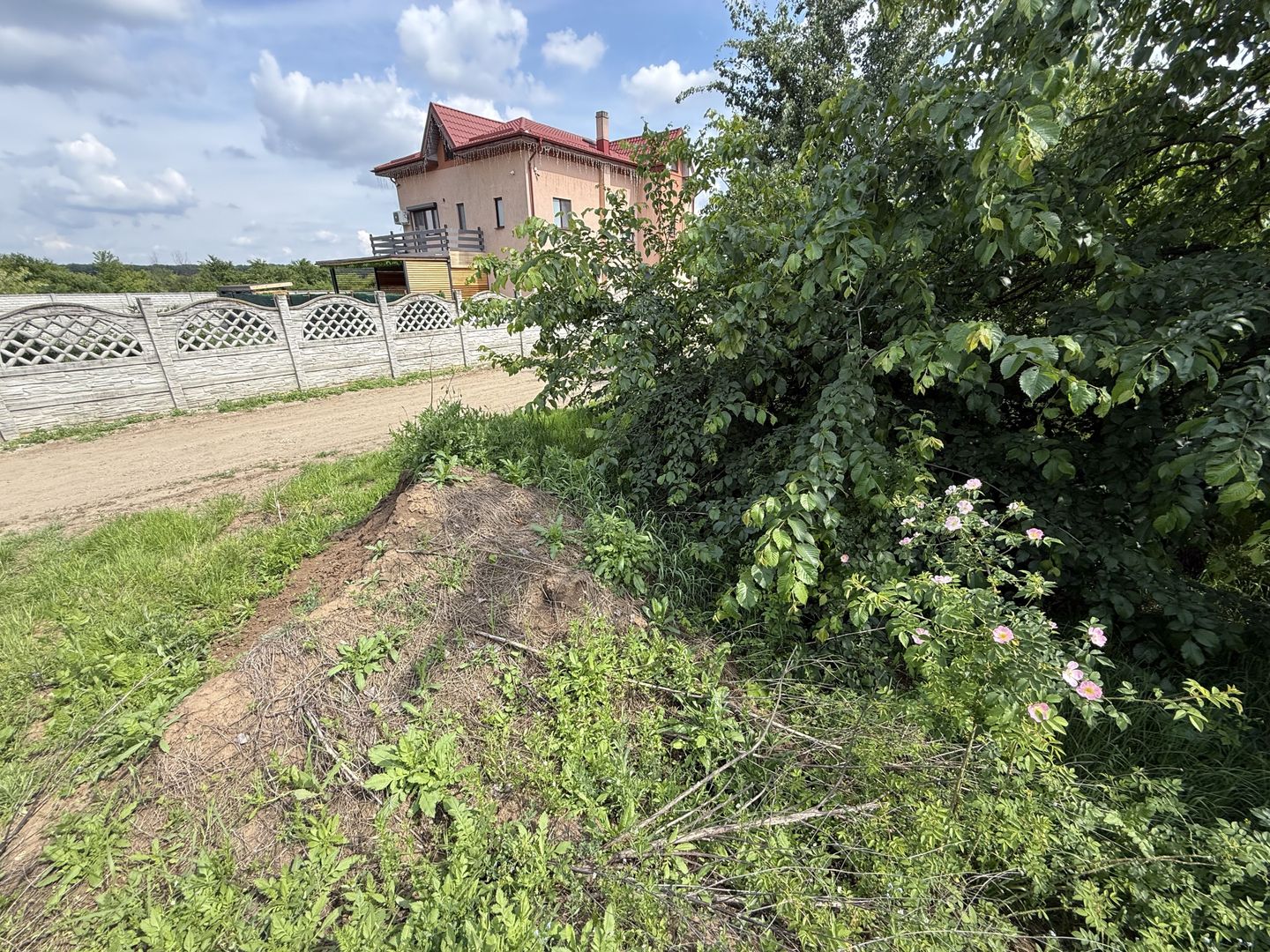 Teren intravilan 498,02 mp langa pădure , strada privata Corbeanca - Poză 13