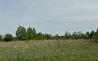 TEREN INTRAVILAN, 7472 MP, VALEA MARE PRAVAT, ARGES - Poză 5