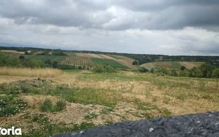 Ag EUROPA vinde 14 ari teren central in Ardud cu toate utilitatile. - Poză 1