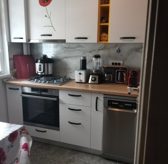 APARTAMENT 2 CAMERE MIHALACHE | CIUPERCA - Poză 2