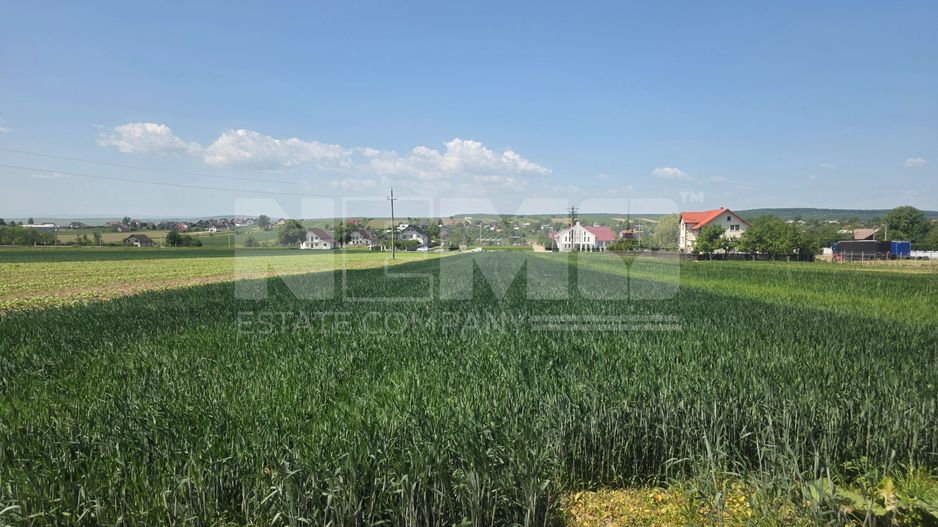 TEREN EXTRAVILAN | MITOCU DRAGOMIRNEI | 2.600 Mp - Poză 6