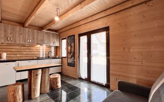 Apartament 1 camera in regim hotelier, Casa TIMIS - Poză 1