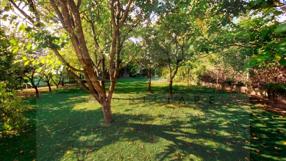 Vila exclusivista 400 mp, teren 2400 mp - zona Faget - Poză 5