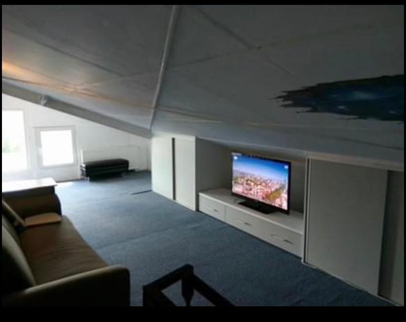 Apartament 1 camera Dec + mansarda 50 mp Nicolina Lidl 380 euro - Poză 7