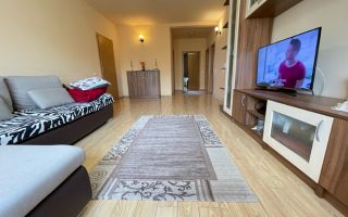 Pretabila pentru doua familii - Poză 5