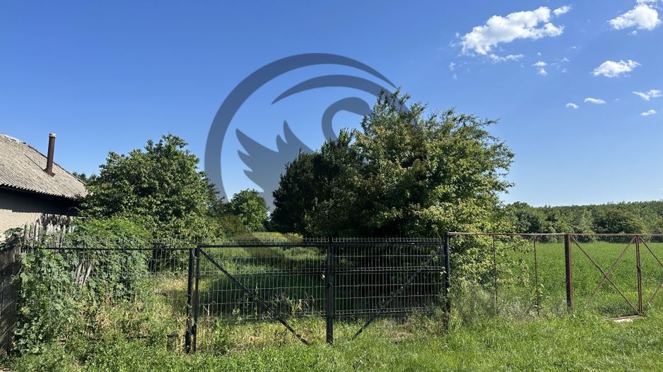 Teren Vanzare 11.000 MP Ghirdoveni | Comision 0% - Poză 4