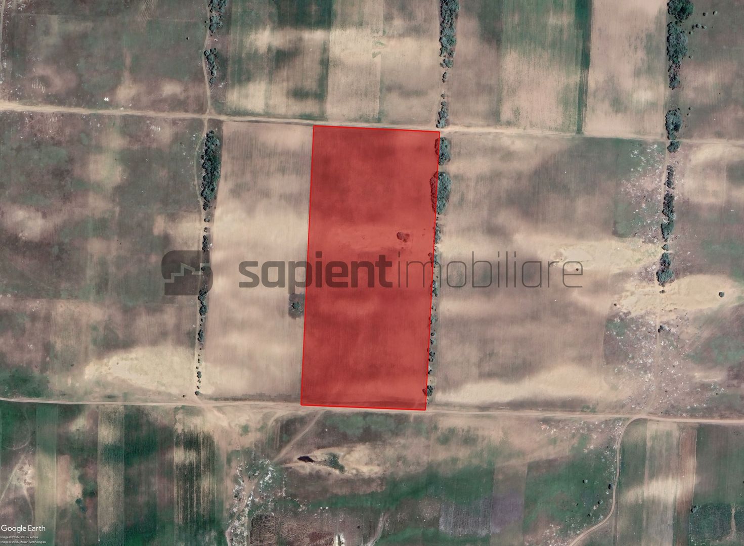 Sapient | Teren agricol _ loc. Desa, jud. Dolj - Poză 2