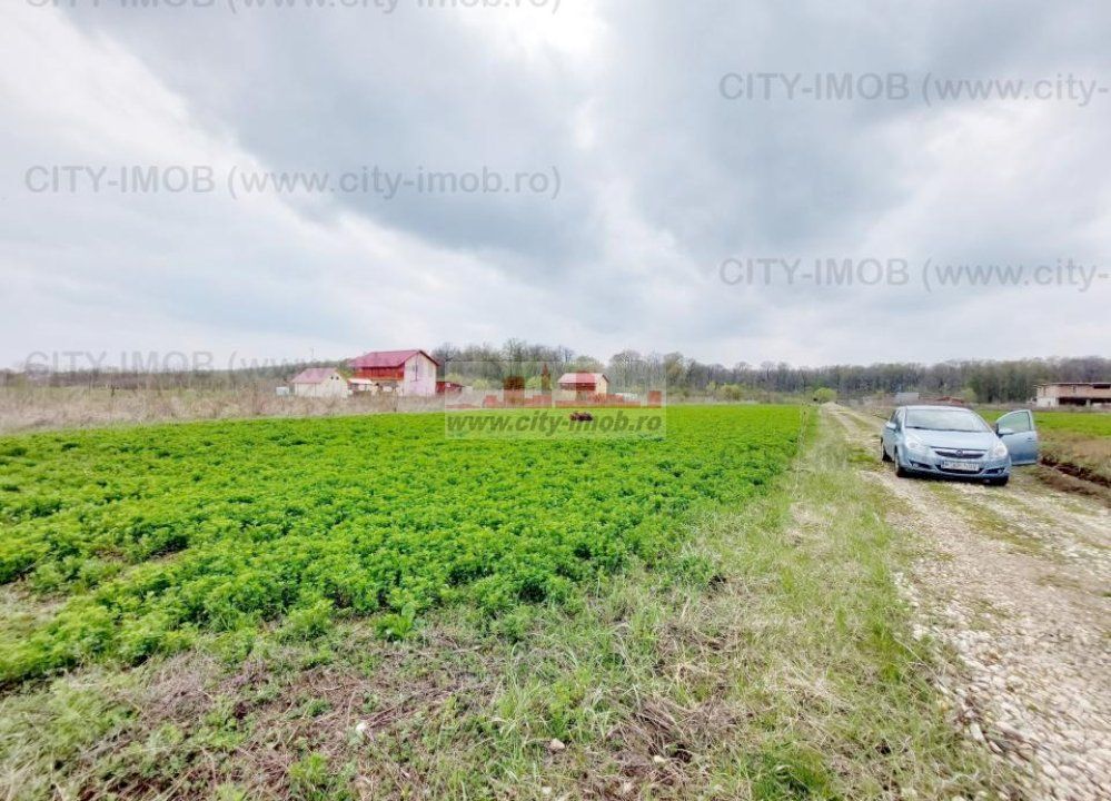 Teren de vanzare Cocani, Crevedia, langa  padure Dambovita - Poză 6