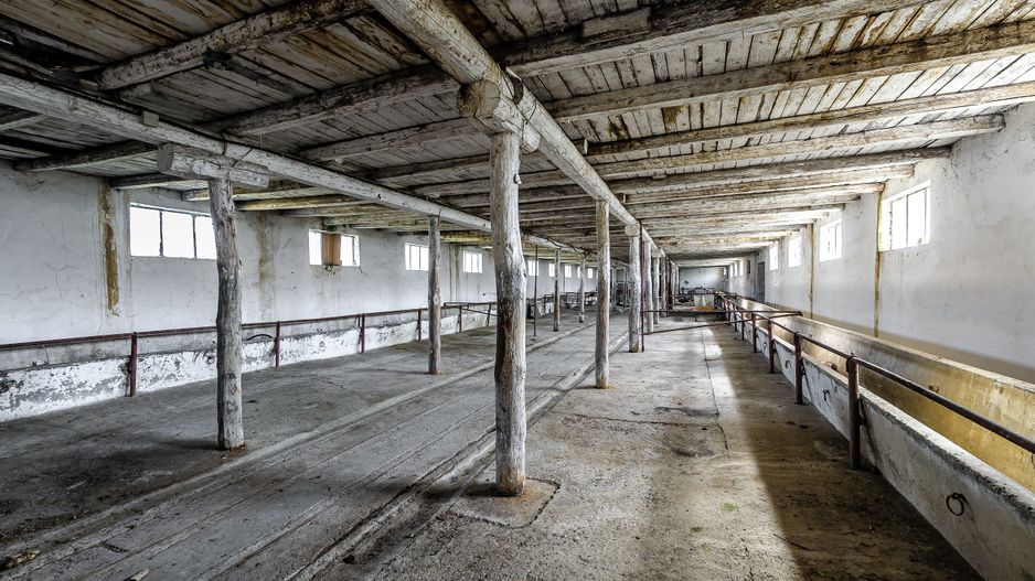 Fermă Mândruloc 2,5 ha - Poză 10