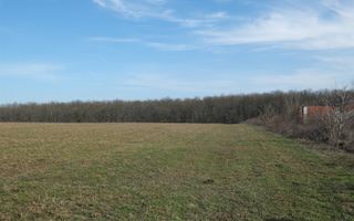 Peninsula Ganeasa, cu pozitie exceptionala, 1.075 mp. - Poză 4
