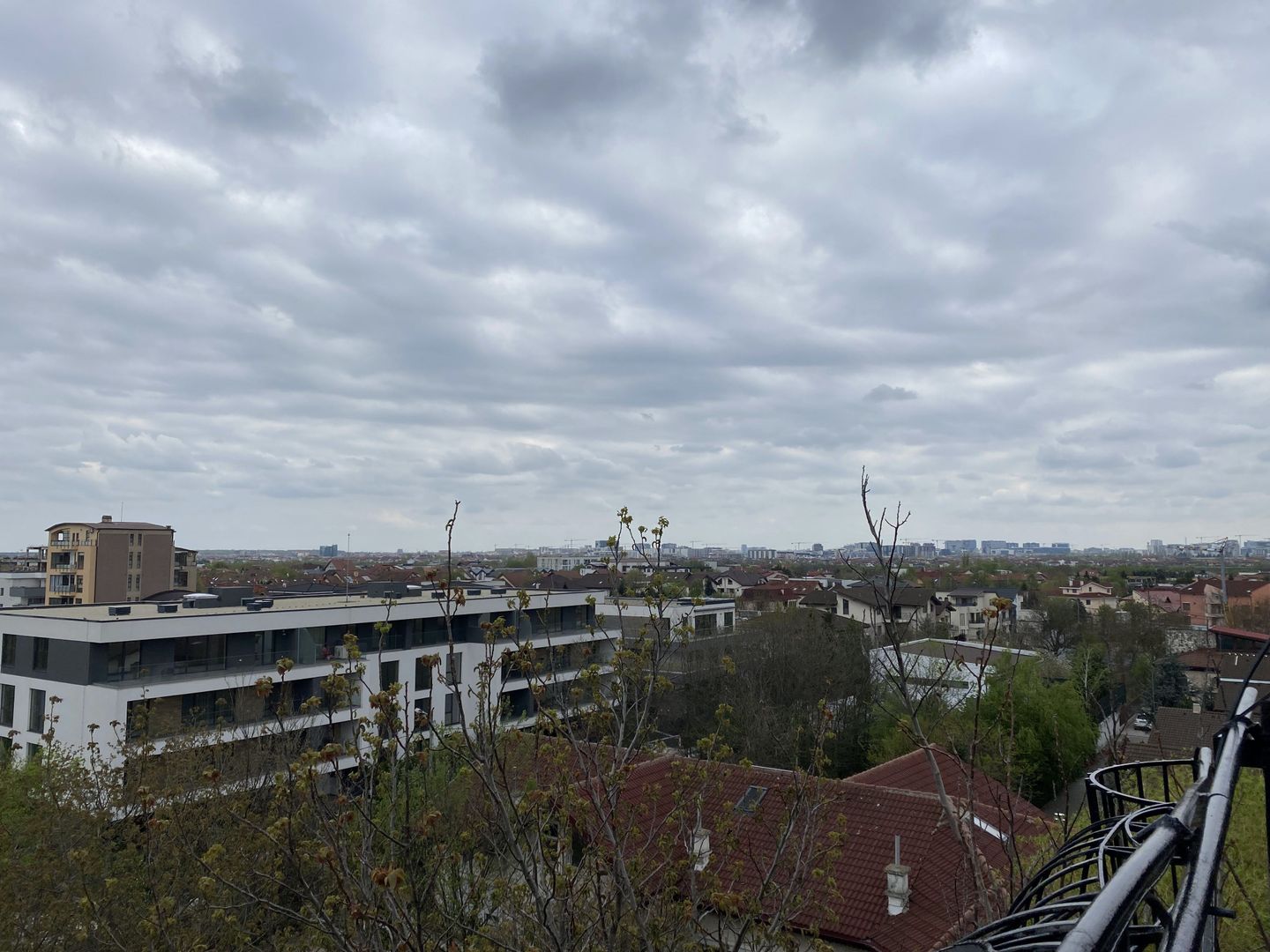 Studio  cochet Erou Iancu Nicolae  - Zoo.  Comision 0% - Poză 10