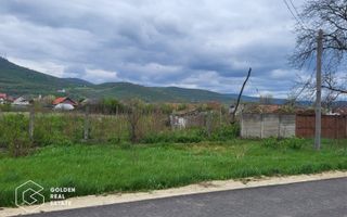 Teren intravilan, comuna Siria - Poză 4