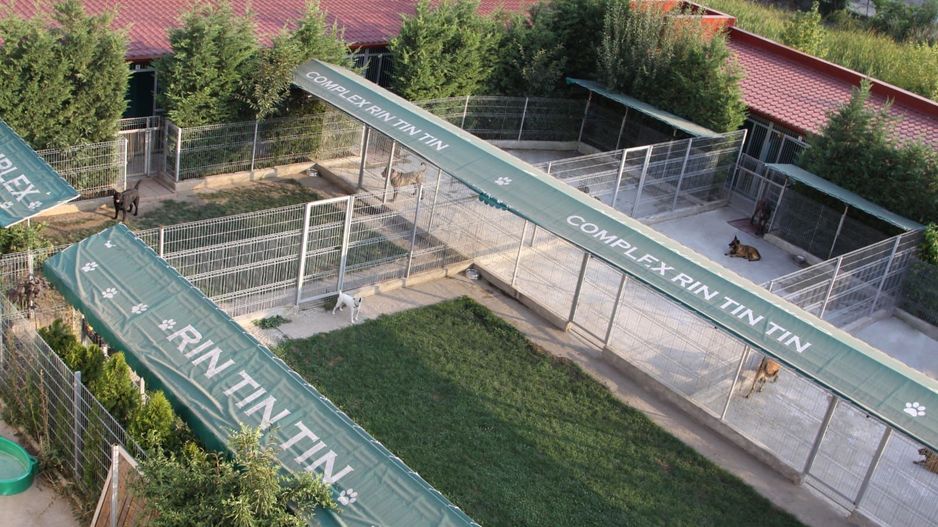 Oferta zilei! Spatiu comercial versatil Voluntari - Poză 8