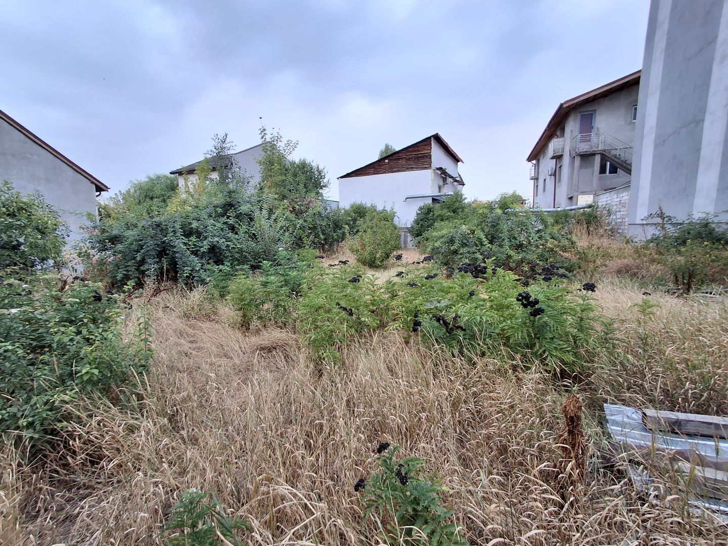 Teren de vanzare - zona Maior Colentina - Poză 12