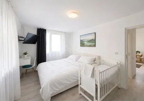 Apartament 2 camere zona Panemar ,Florești , parter înalt. - Poză 3