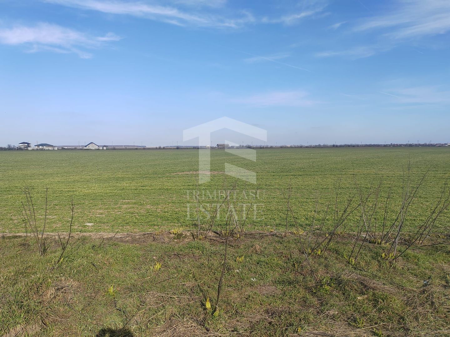 Cernica Tanganu  Parcele 1023 mp  la 17.000 euro - Poză 6